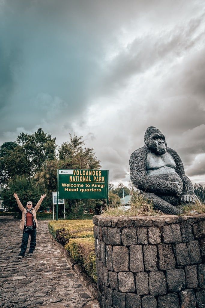 Gorilla Trekking, Rwanda